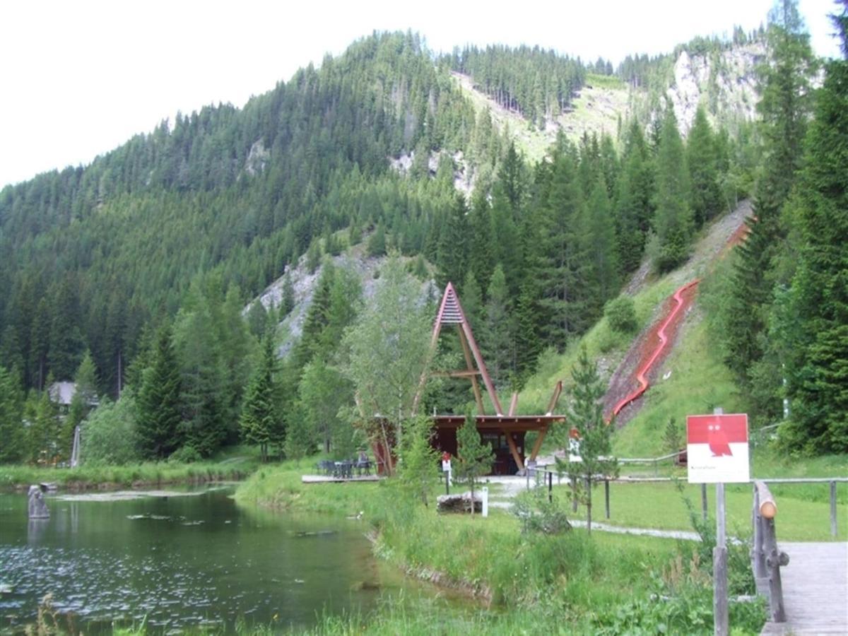 Chalet In Hohentauern With In House Wellness Dış mekan fotoğraf